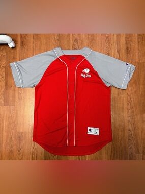 *Rare* Vintage “Champion”Dixie State Trailblazers Baseball Jersey L (Utah Tech)